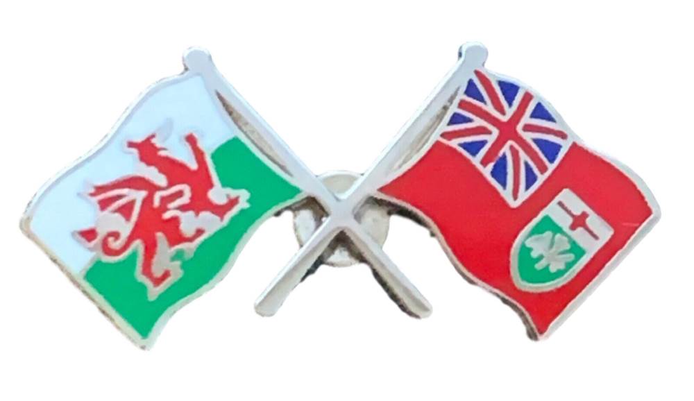 Wales & Ontario Flags Friendship Courtesy enamel  Lapel Pin Badge T794 image 0