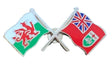 Wales & Ontario Flags Friendship Courtesy enamel  Lapel Pin Badge T794 image 0
