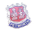 Petworth Quality Enamel Lapel Pin Badge image 0