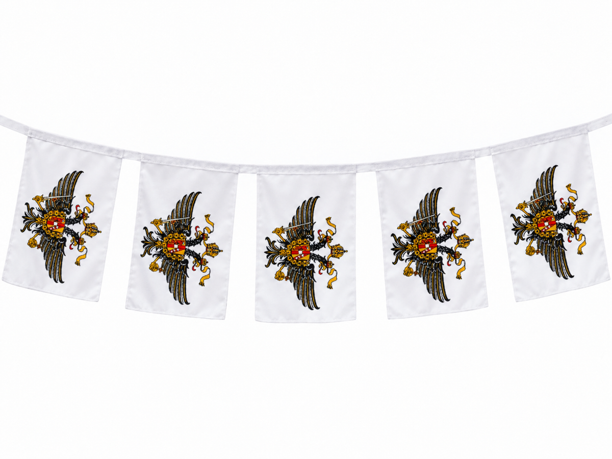 Flagmania 1st The Queen's Dragoon Guards 3m bunting – illustrative section of five flags; full length contains ten