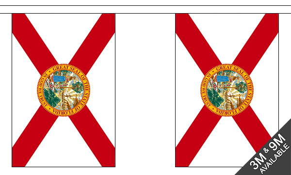 Flagmania Florida Bunting, 9 metre bunting