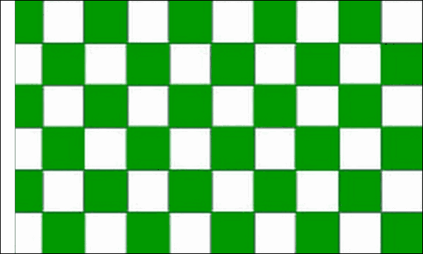 Flagmania Green and White Check (Sleeved) 3ft x 2ft Polyester Flag on white background