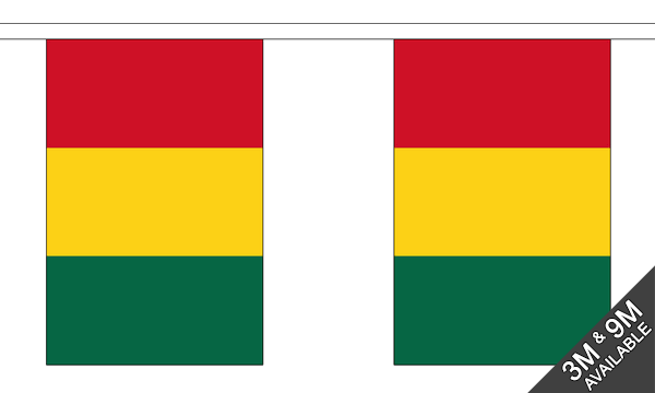Guinea 3 metre bunting, 10 flags - Flagmania