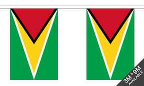 Flagmania Guyana Bunting, 9 metre bunting