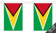 Guyana 3 metre bunting, 10 flags - Flagmania