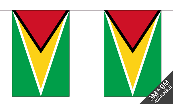 Guyana 3 metre bunting, 10 flags - Flagmania