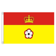 Hampshire old county flag with gold crown on red above red and white rose on yellow, 5ft x 3ft