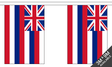 Flagmania Hawaii Bunting, 9 metre bunting