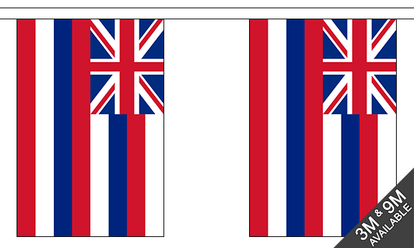 Flagmania Hawaii Bunting, 9 metre bunting