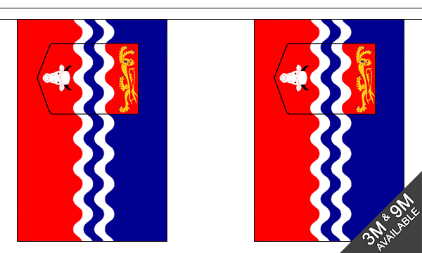 Herefordshire Old 3 metre bunting, 10 flags - Flagmania