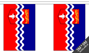 Flagmania Herefordshire Old Bunting, 9 metre bunting