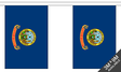 Idaho 3 metre bunting, 10 flags - Flagmania