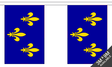 Flagmania Ile-de-France Bunting, 9 metre bunting
