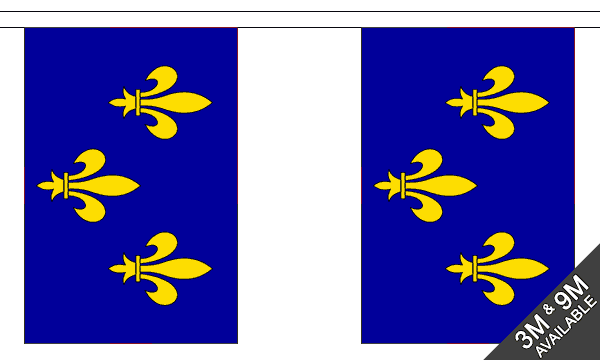 Flagmania Ile-de-France Bunting, 9 metre bunting