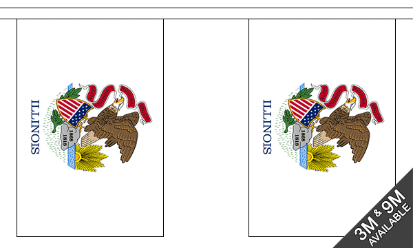 Illinois 3 metre bunting, 10 flags - Flagmania