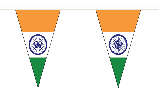Flagmania India 5 metre bunting