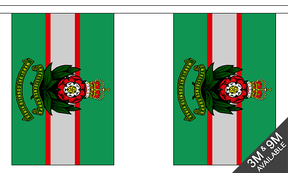 Flagmania Intelligence Corps Bunting, 9 metre bunting