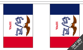 Iowa 3 metre bunting, 10 flags - Flagmania