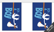Flagmania Its a Boy Bunting, 9 metre bunting