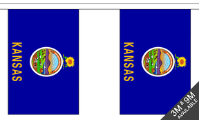 Flagmania Kansas Bunting, 9 metre bunting
