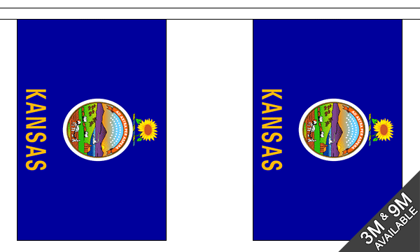 Flagmania Kansas Bunting, 9 metre bunting