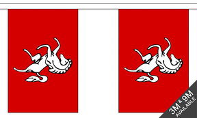 Kent 3 metre bunting, 10 flags - Flagmania