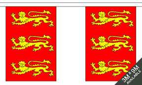 King Richard 1st 3 metre bunting, 10 flags - Flagmania