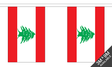 Flagmania Lebanon Bunting, 9 metre bunting