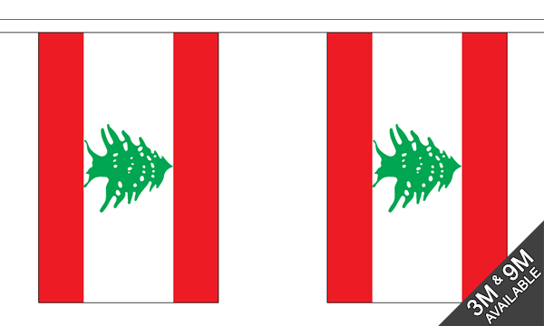 Flagmania Lebanon Bunting, 9 metre bunting