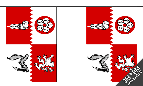 Flagmania Leicestershire Old Bunting, 9 metre bunting