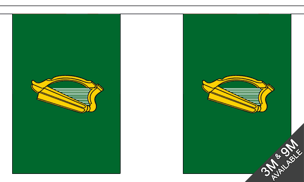 Leinster 3 metre bunting, 10 flags - Flagmania
