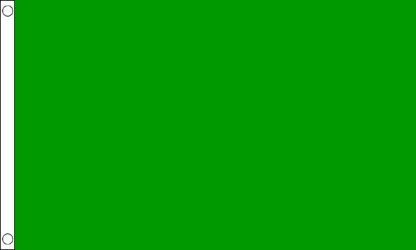 Flagmania Libya Old (Green) 3ft x 2ft Polyester Flag on white background