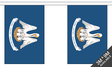 Flagmania Louisiana Bunting, 9 metre bunting