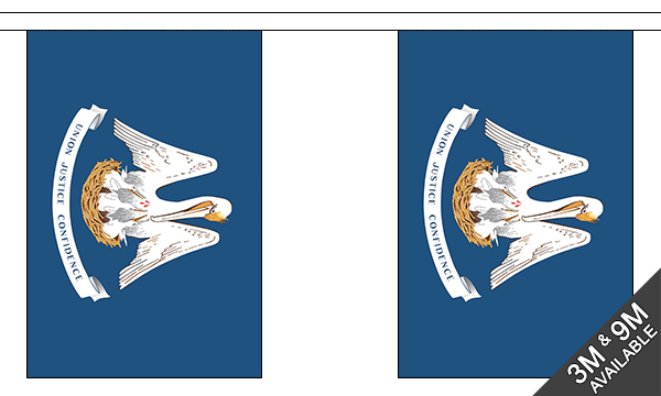 Flagmania Louisiana Bunting, 9 metre bunting