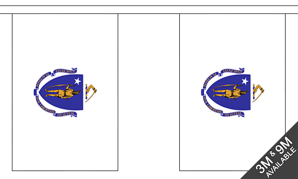 Massachusetts 3 metre bunting, 10 flags - Flagmania
