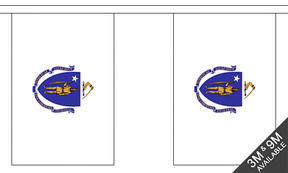 Massachusetts 3 metre bunting, 10 flags - Flagmania