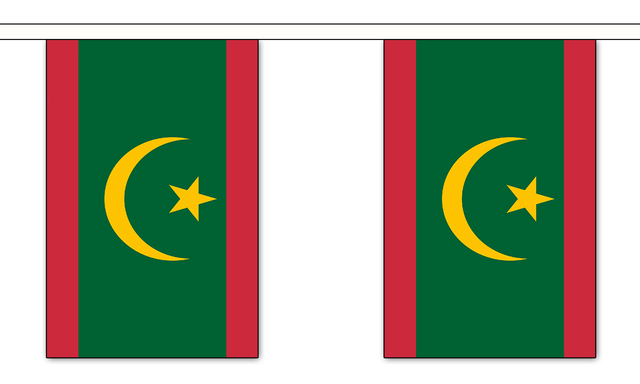 Mauritania New 3 metre bunting, 10 flags - Flagmania