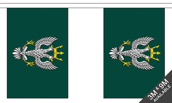 Mercian Regiment 3 metre bunting, 10 flags - Flagmania
