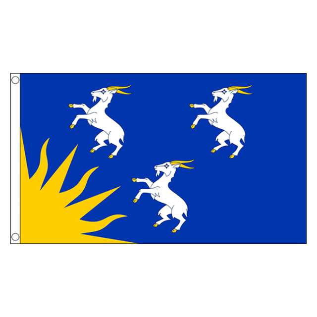 Merionethshire county flag with three white goats and gold sunburst on blue, 5ft x 3ft