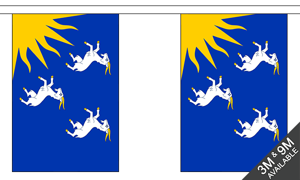 Flagmania Merionethshire Bunting, 9 metre bunting