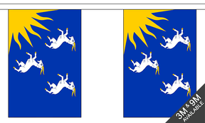Flagmania Merionethshire Bunting, 9 metre bunting