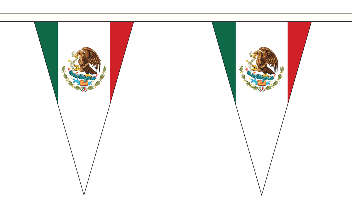 Flagmania Mexico 5 metre bunting