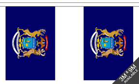 Flagmania Michigan Bunting, 9 metre bunting