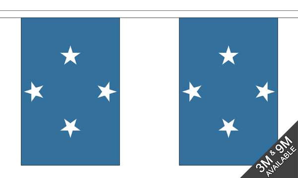 Micronesia 3 metre bunting, 10 flags - Flagmania
