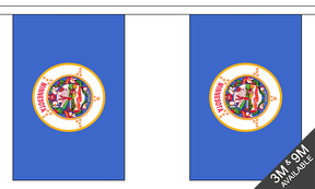 Flagmania Minnesota Bunting, 9 metre bunting
