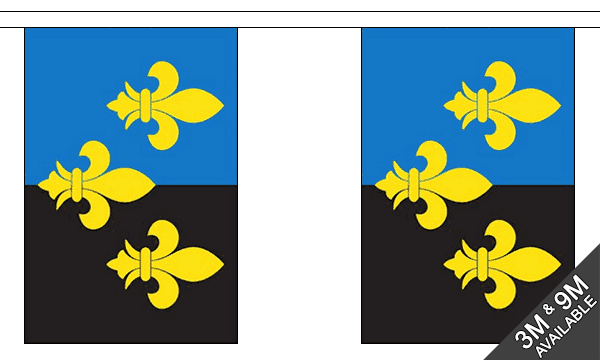 Monmouthshire 3 metre bunting, 10 flags - Flagmania