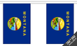 Flagmania Montana Bunting, 9 metre bunting