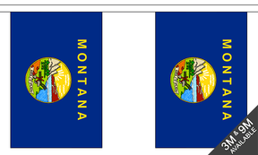 Montana 3 metre bunting, 10 flags - Flagmania
