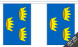 Munster 3 metre bunting, 10 flags - Flagmania