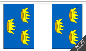 Flagmania Munster Bunting, 9 metre bunting